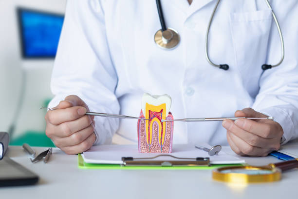 Best Chipped Tooth Repair Near Me  in Cornwells Heights, PA